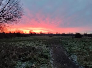 Sunset over Wanstead Flats | Forest Gate | Leytonstone Personal Trainer