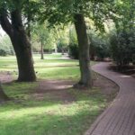 Photos of trees at West Ham Park | Stratford | Personal Trainer Tips