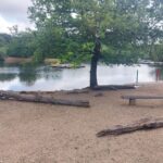 Pond at Hollow Pond Park | Personal Trainer Tips | DBworkouts.co.uk | Walthamstow | Blog