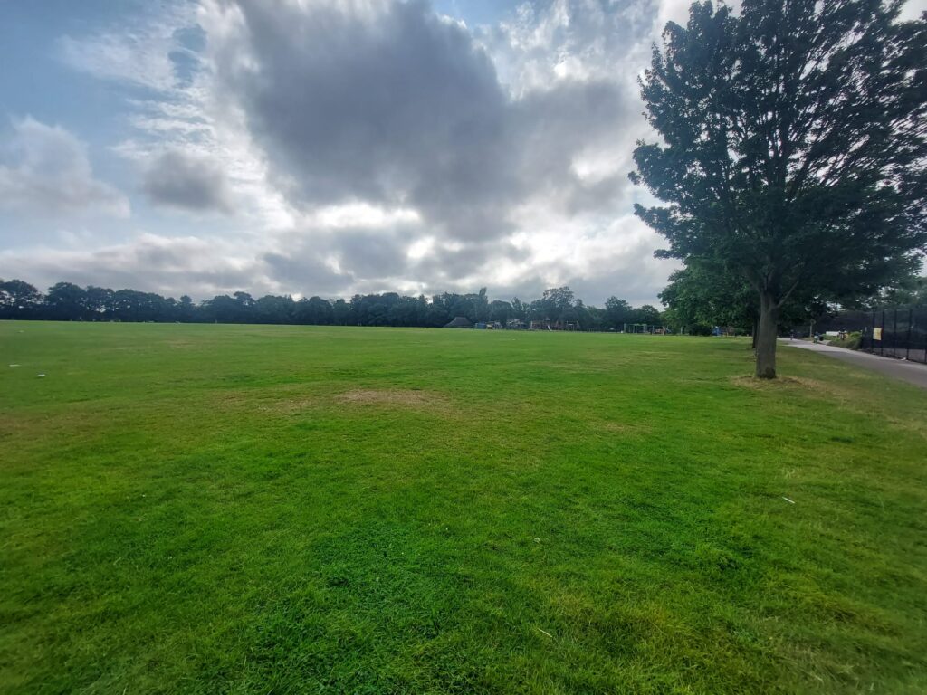 Field at Valentine's Park | Personal Trainer Tips | DBworkouts.co.uk